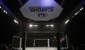 The Intense Showdown at UFC 229: Nurmagomedov vs. McGregor